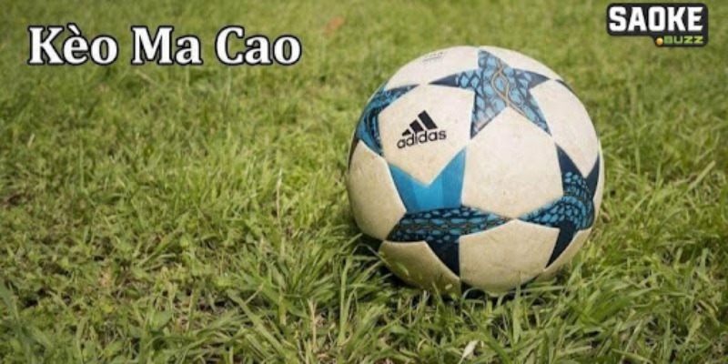 Tỷ lệ Ma Cao 2 in 1 mang đến nhiều lựa chọn hơn cho khán giả Tỷ lệ Ma Cao 2 in 1 mang đến nhiều lựa chọn hơn cho khán giả